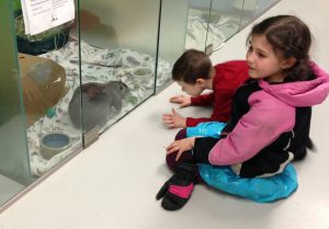 Izzy and Kaiden at the Humane Society
